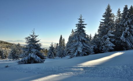 Domki zakopane 8-osobowe – gdzie znaleźć komfortowe noclegi dla grupy?