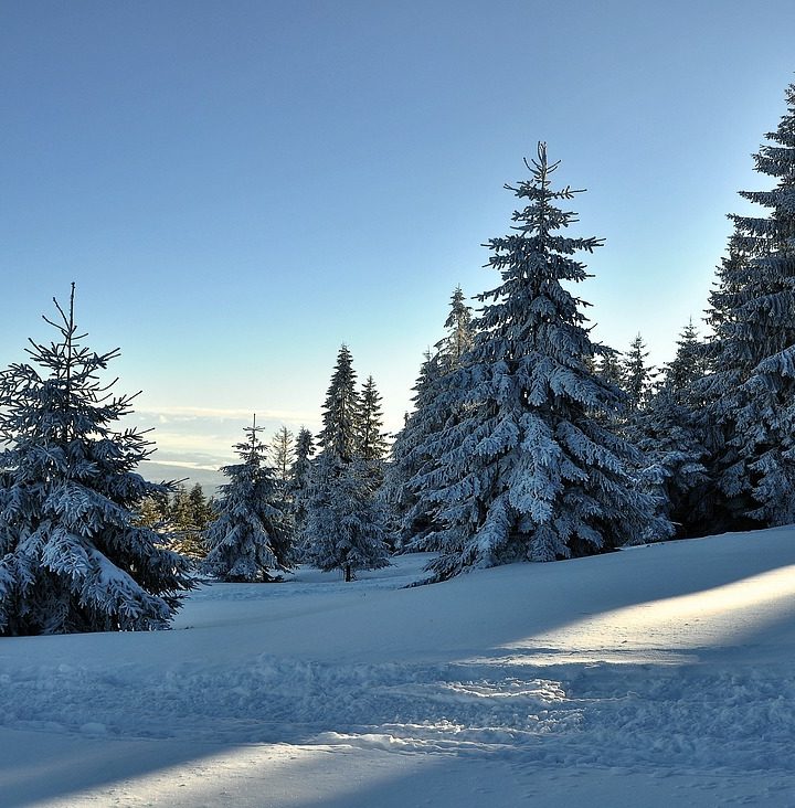 Domki zakopane 8-osobowe – gdzie znaleźć komfortowe noclegi dla grupy?