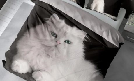 Pościel jako element stylu – jak podkreślić charakter sypialni